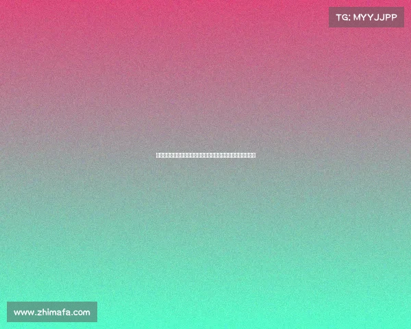 嘉兴赛事网打造嘉兴最新赛事一站式信息服务平台助力爱好者参与